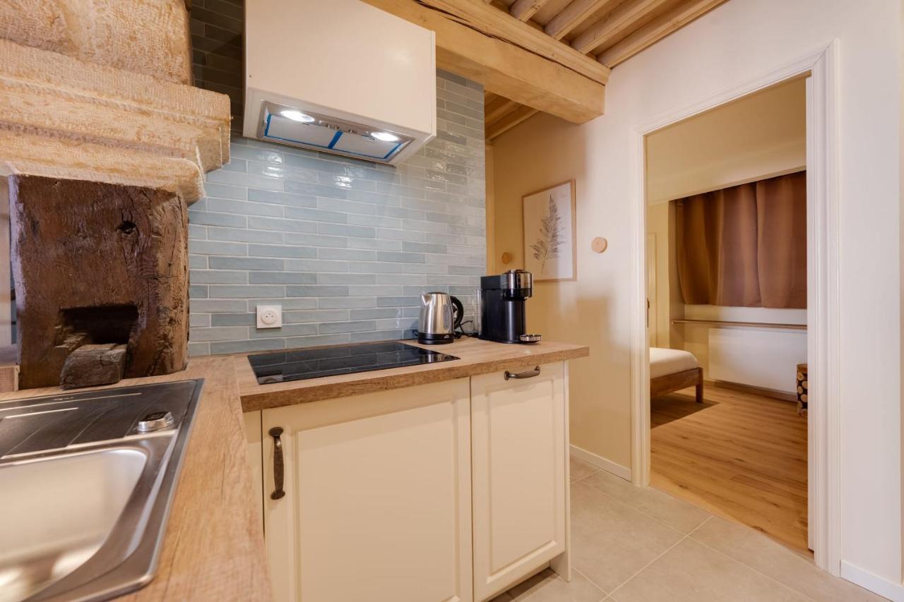 Le Balcon Perriere I - Charming Apartment With Direct View Of The Thiou Анси Екстериор снимка